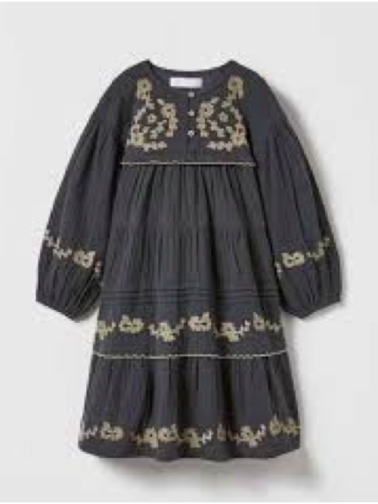 Zara Other - Zara Charcoal Dress with Cream Floral Embroidery